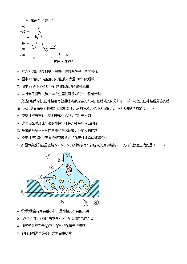 湖北省十堰市普通高中联合体2024-2025学年高二上学期10月月考生物试卷（Word版附解析）03