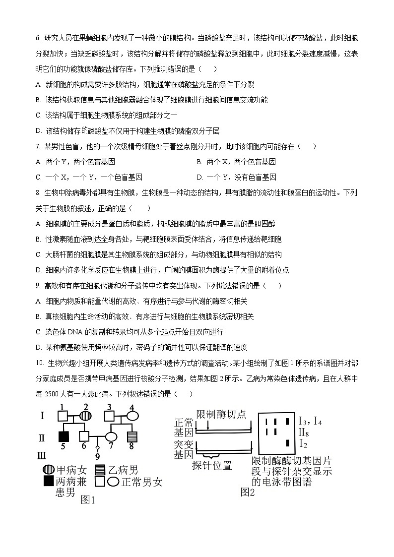 湖北省随州市高中2024-2025学年高二上学期期中考试生物学试卷（Word版附解析）03