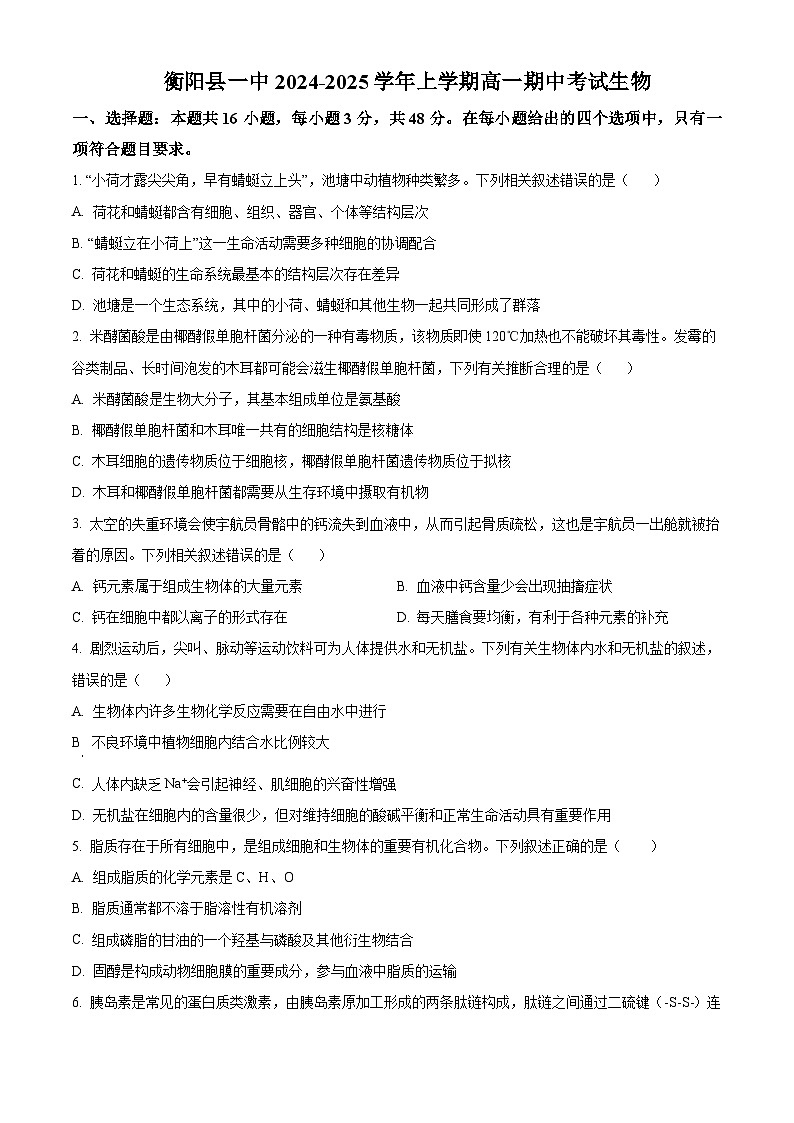 湖南省衡阳市衡阳县第一中学2024-2025学年高一上学期11月期中考试生物试题 Word版无答案第1页