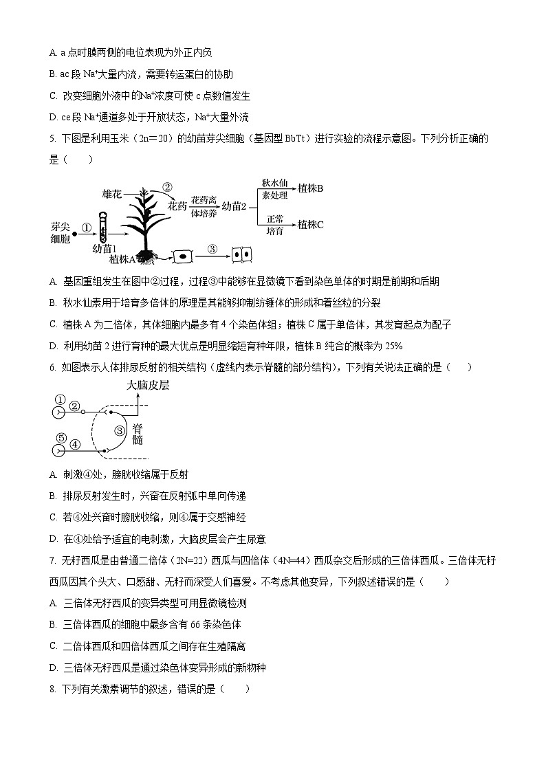 湖南省临湘市2024-2025学年高二上学期10月月考生物试题 Word版无答案第2页