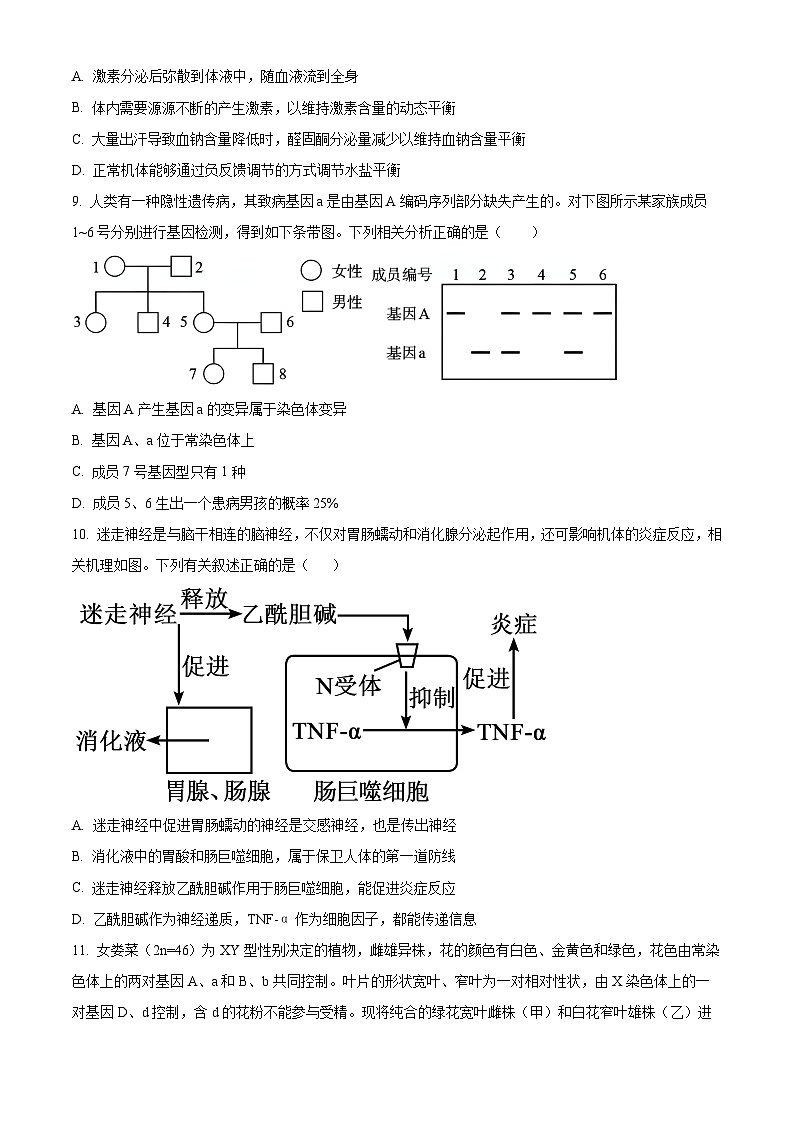 湖南省临湘市2024-2025学年高二上学期10月月考生物试题 Word版无答案第3页