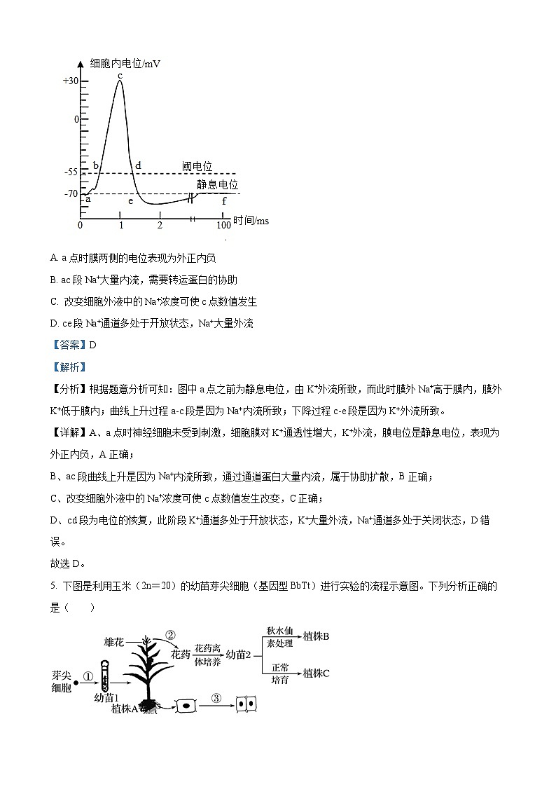 湖南省临湘市2024-2025学年高二上学期10月月考生物试题 Word版含解析第3页