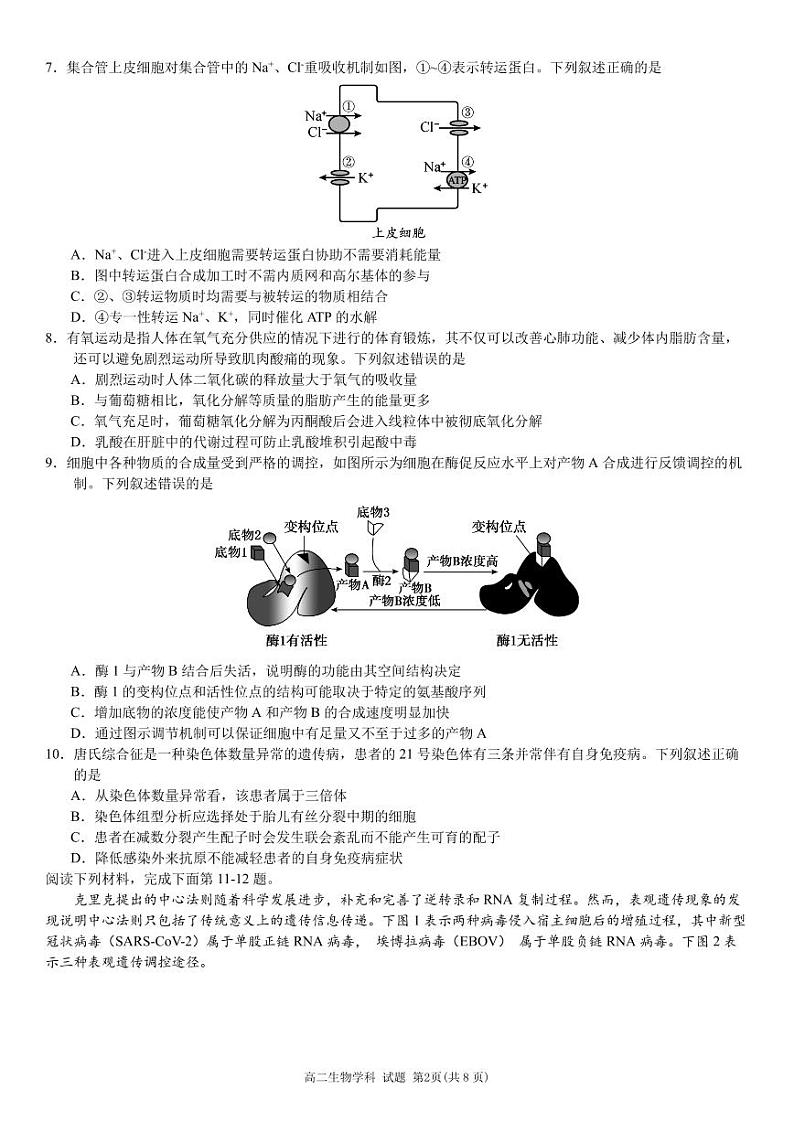 2411 金砖里面高二生物试卷定稿第2页