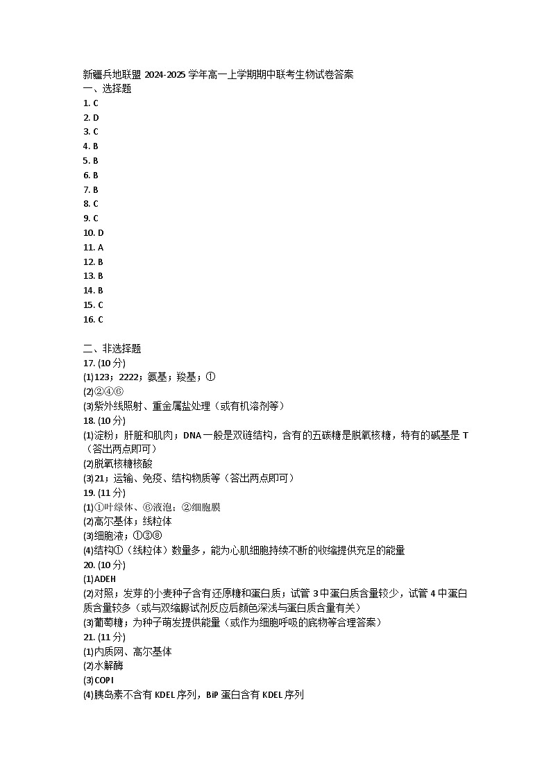 新疆兵地联盟2024-2025学年高一上学期期中联考生物试卷答案第1页