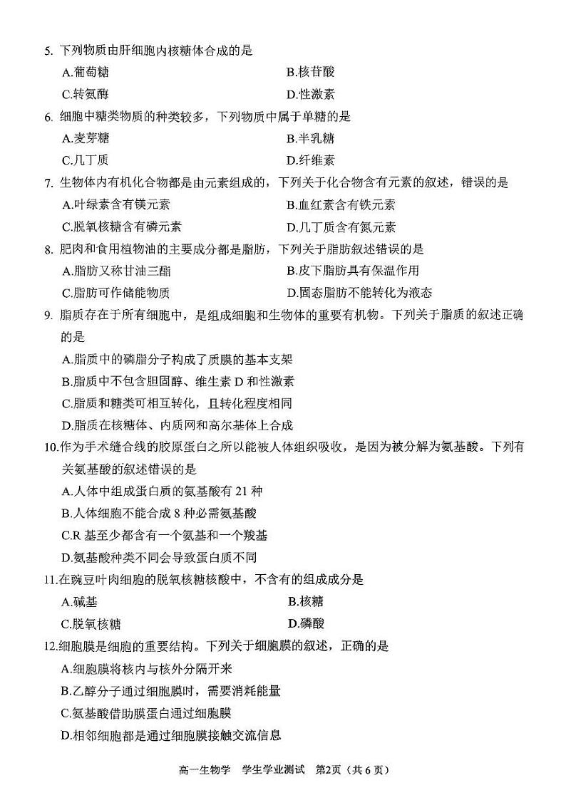 四川省绵阳市2024-2025学年高一上学期11月期中考试生物试题第2页