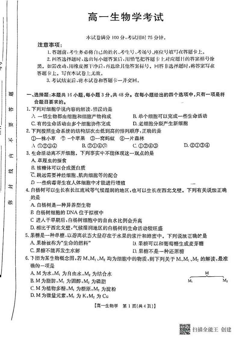 陕西省韩城市2024-2025学年高一上学期期中考试生物试题第1页