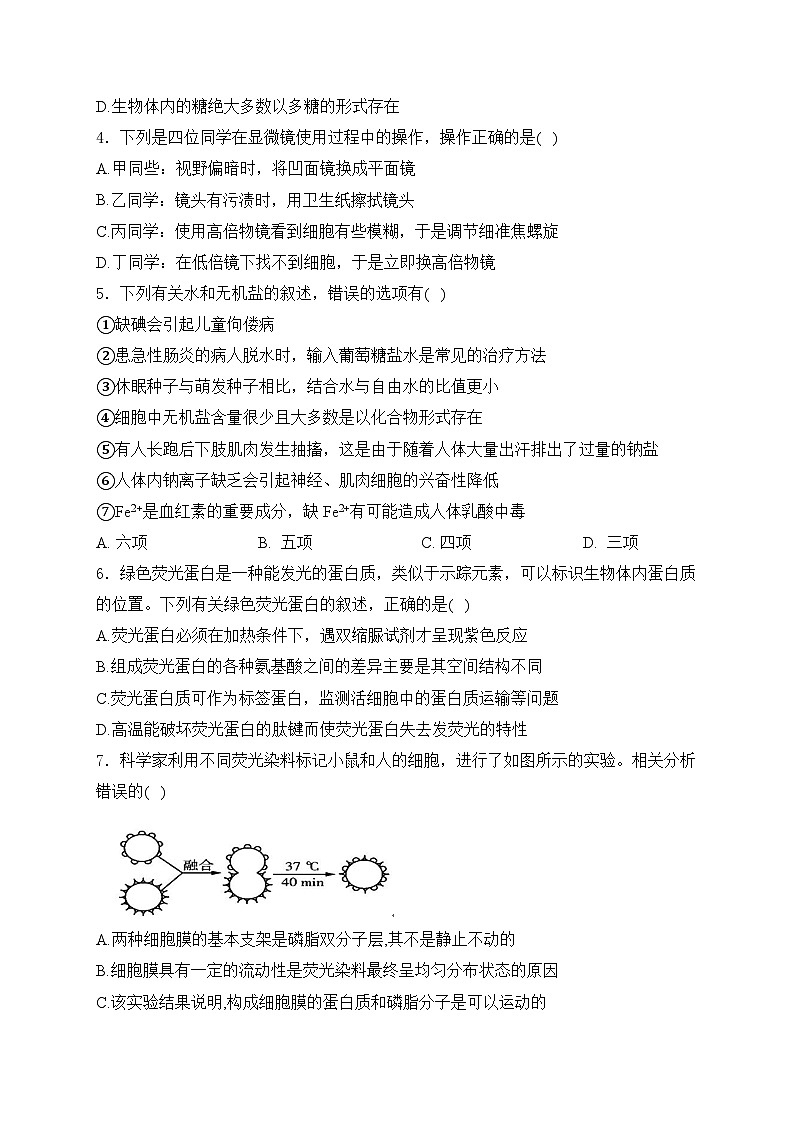 山东省泰安市肥城市肥城市慈明学校2024-2025学年高一上学期期中检测生物试卷第2页