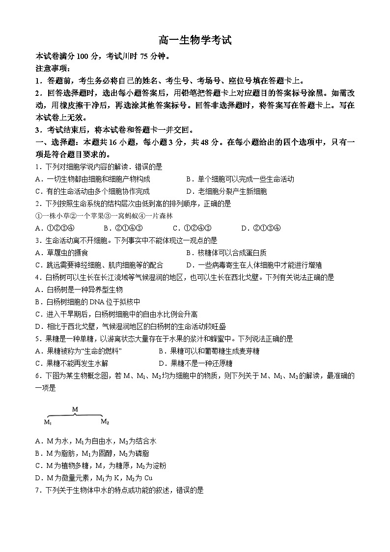 陕西省韩城市2024-2025学年高一上学期期中考试生物试题(无答案)第1页