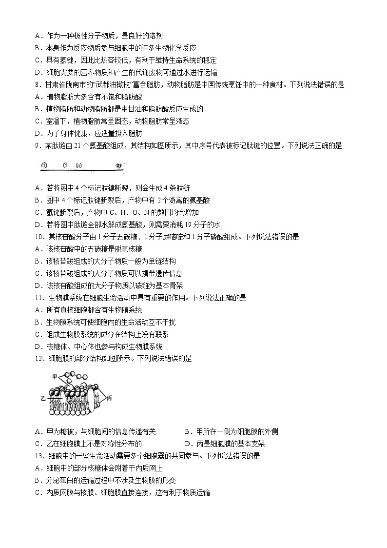 陕西省韩城市2024-2025学年高一上学期期中考试生物试题(无答案)第2页