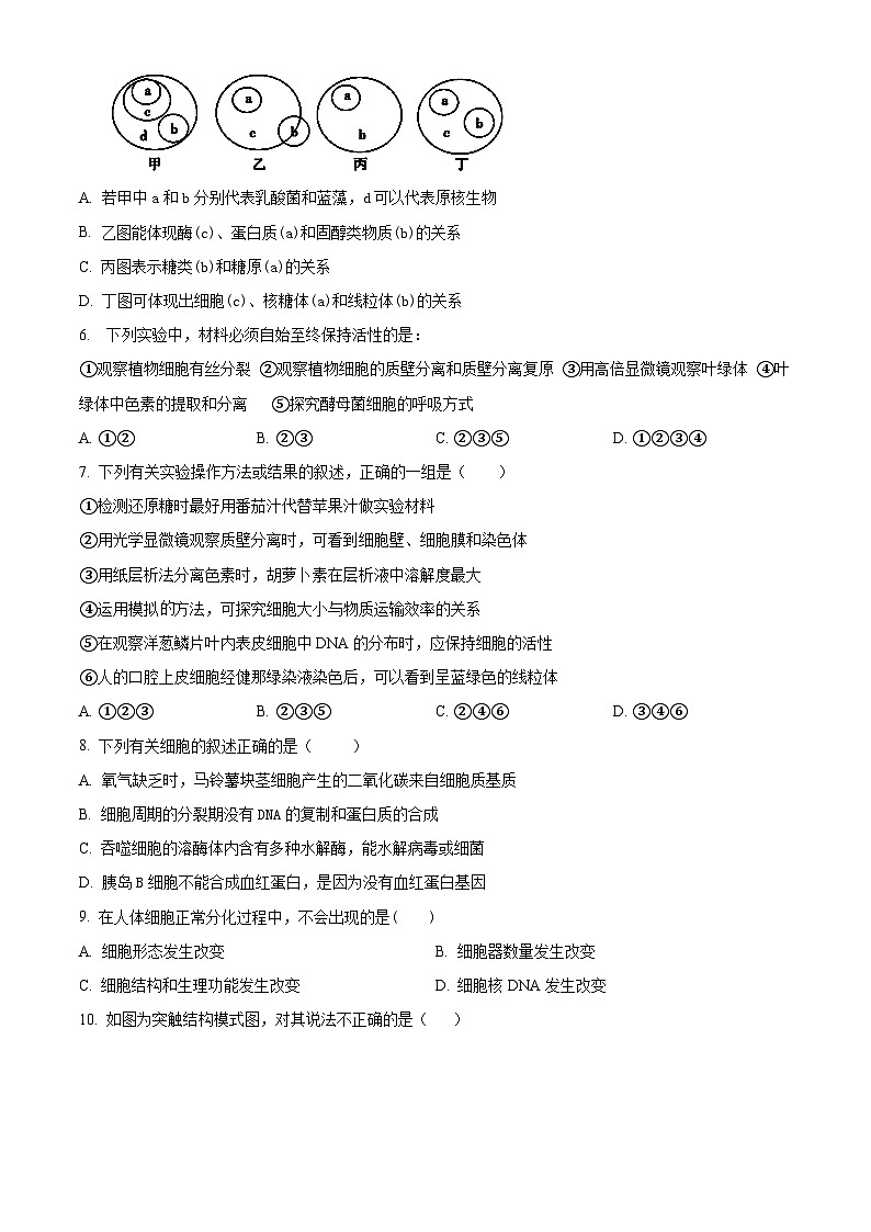 湖南省岳阳市岳阳县第一中学2024-2025学年高二上学期10月月考生物试题 Word版无答案第2页