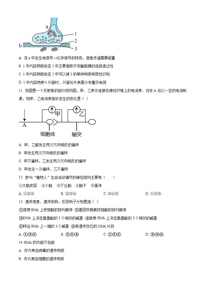 湖南省岳阳市岳阳县第一中学2024-2025学年高二上学期10月月考生物试题 Word版无答案第3页