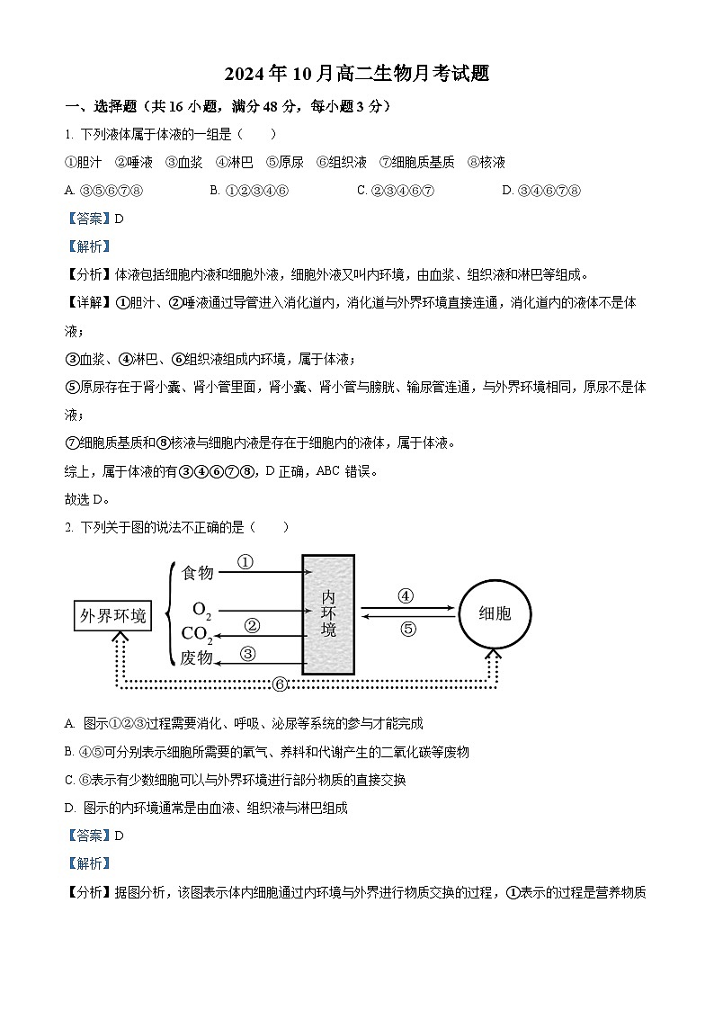 湖南省岳阳市岳阳县第一中学2024-2025学年高二上学期10月月考生物试题 Word版含解析第1页