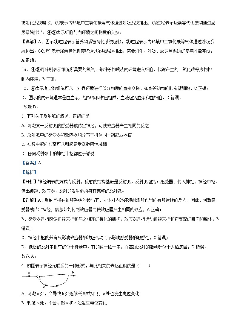 湖南省岳阳市岳阳县第一中学2024-2025学年高二上学期10月月考生物试题 Word版含解析第2页