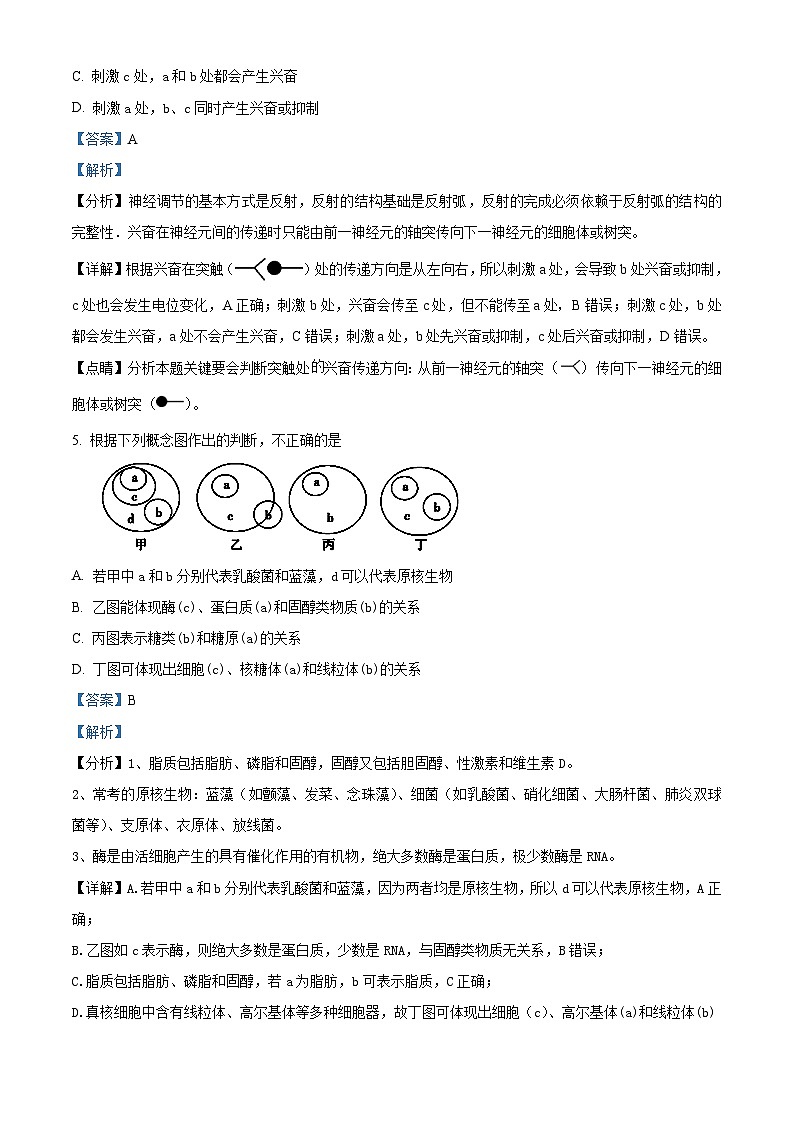 湖南省岳阳市岳阳县第一中学2024-2025学年高二上学期10月月考生物试题 Word版含解析第3页