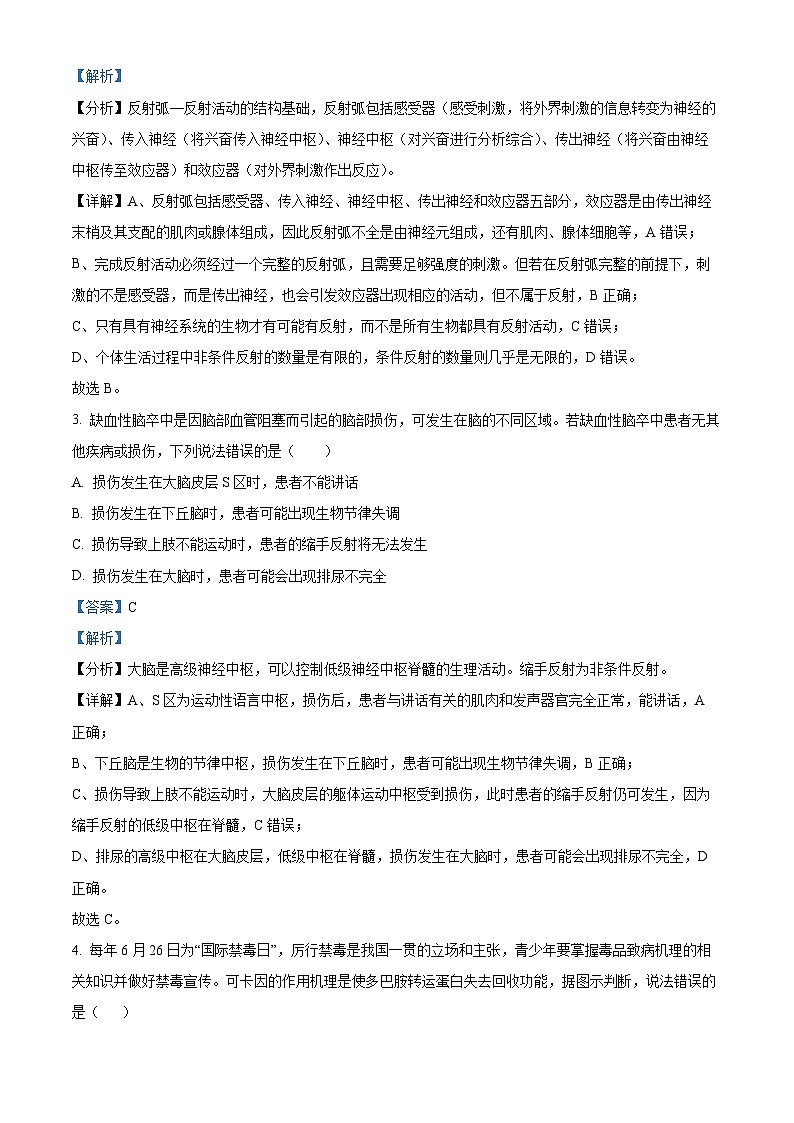湖南省长沙市长郡中学2024-2025学年高二上学期期中考试生物试卷（Word版附解析）02