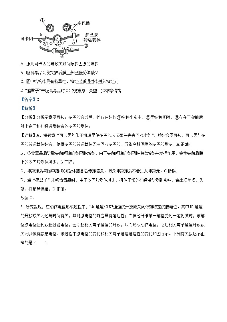 湖南省长沙市长郡中学2024-2025学年高二上学期期中考试生物试卷（Word版附解析）03