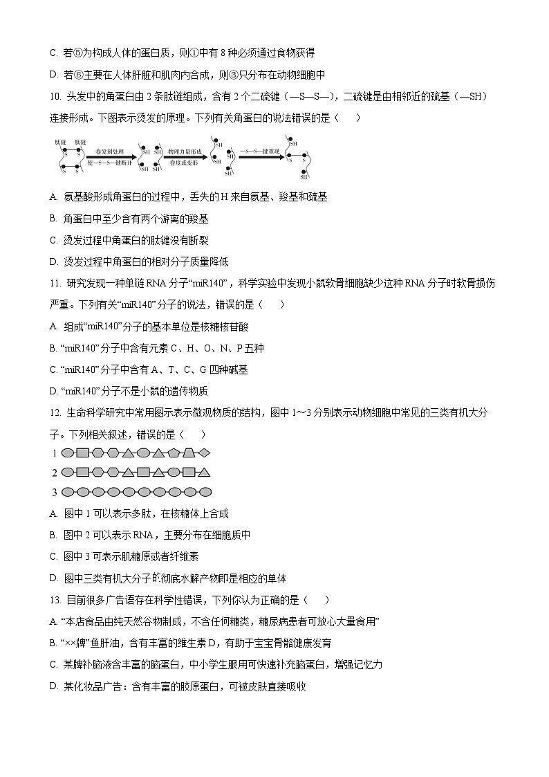 湖南省长沙市长郡中学2024-2025学年高一上学期期中考试生物试卷（Word版附解析）03