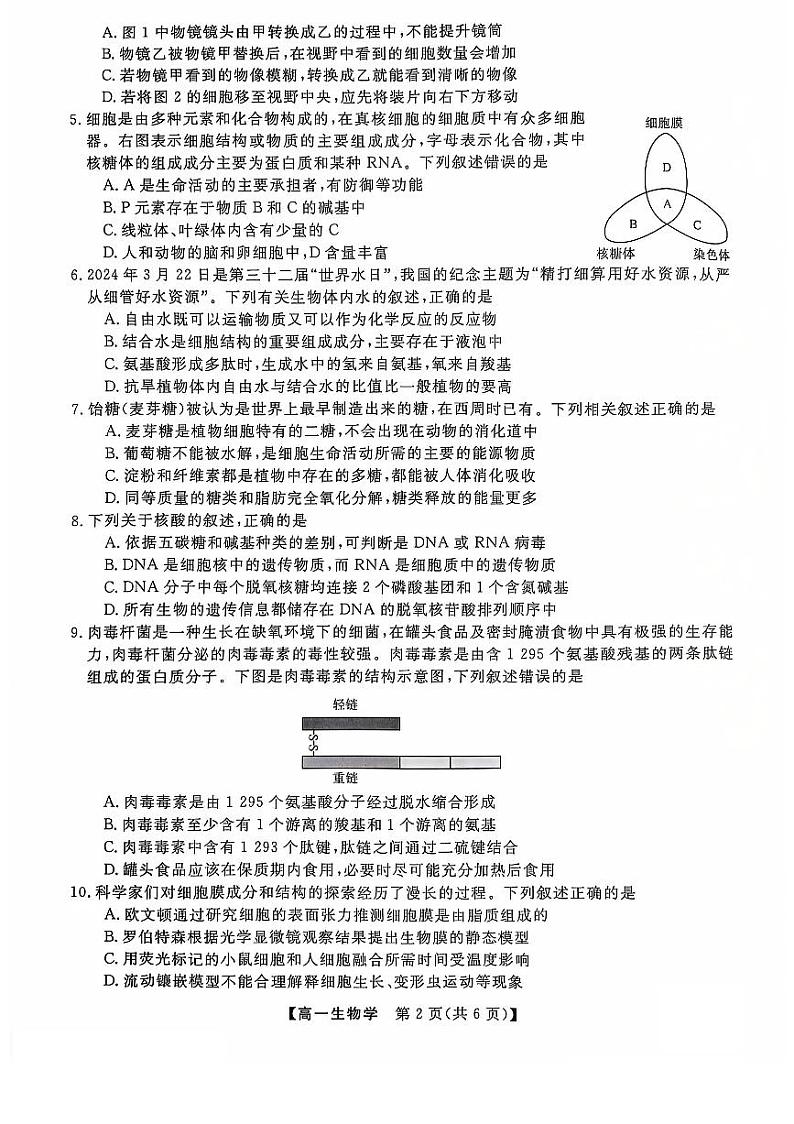 辽宁省沈阳市联合体2024-2025学年高一上学期11月期中生物试题第2页