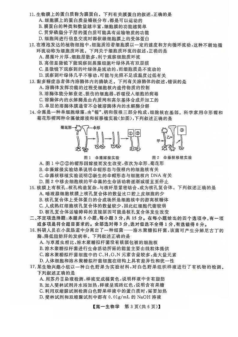 辽宁省沈阳市联合体2024-2025学年高一上学期11月期中生物试题第3页