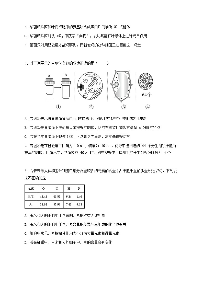 广东省广州市广雅中学2023~2024学年高一上学期期中考试生物试卷第2页