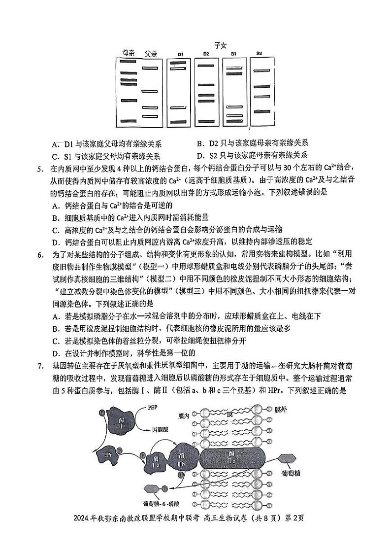 鄂东南期中联考高三生物试卷第2页
