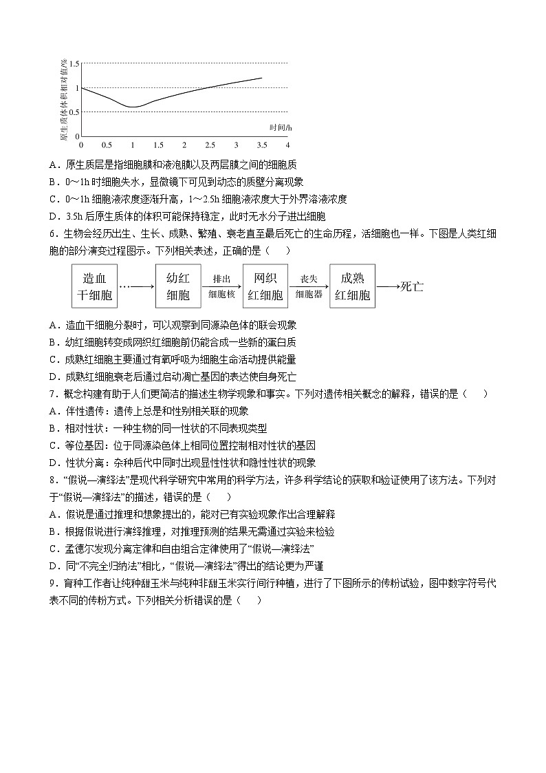 江西省多校联考2024-2025学年高三上学期期中考试生物试题02