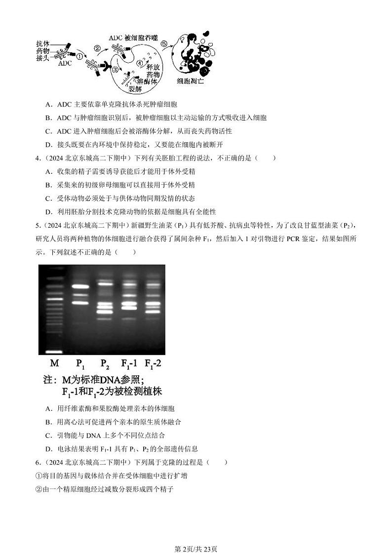 2024北京重点校高二（下）期中生物汇编：细胞工程章节综合（选择题）1试卷第2页