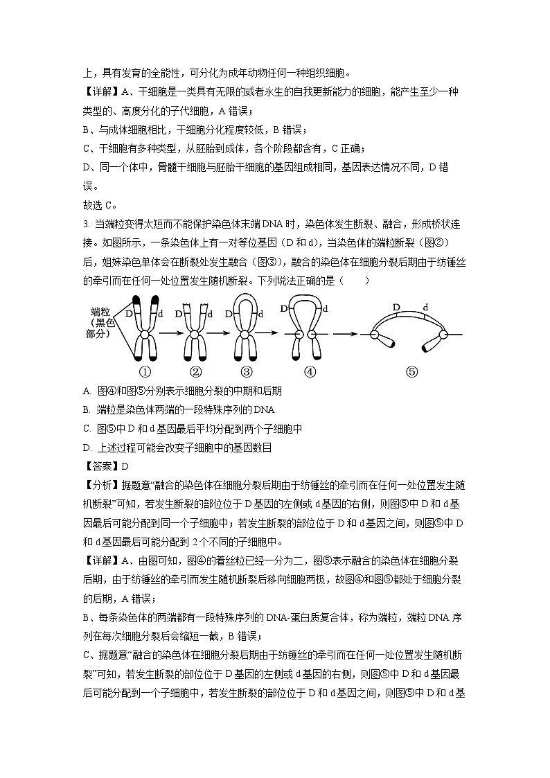 湖北省黄冈市高中联校2023-2024学年高一下学期期中教学质量抽测生物试卷(解析版)第2页