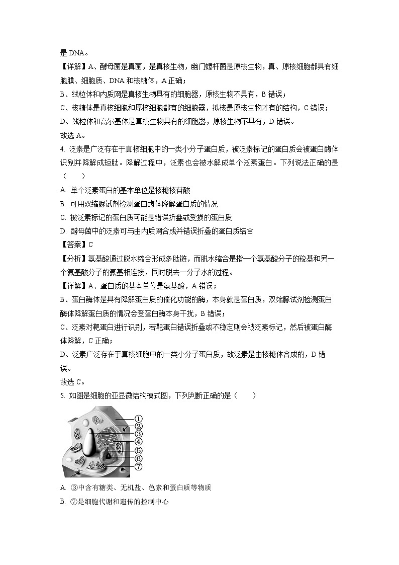 浙江省杭州市S9联盟2023-2024学年高一下学期期中联考生物试卷(解析版)第2页