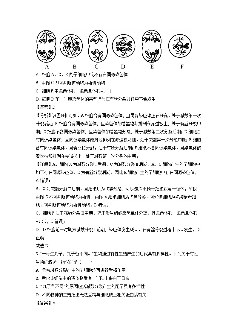 河南省周口市鹿邑县2023-2024学年高一下学期4月月考生物试卷(解析版)03