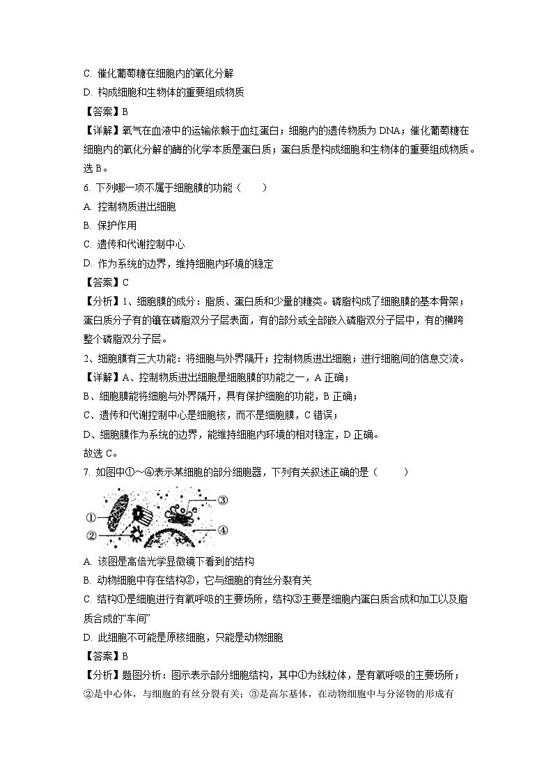 新疆喀什市2022-2023学年高一下学期期末质量监测生物试卷(解析版)第3页