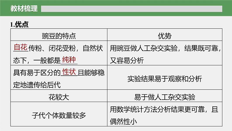 第1章　第1节　第1课时　一对相对性状的杂交实验过程和解释第6页