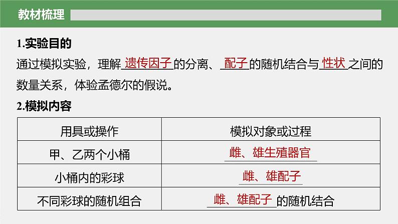 第1章　第1节　第2课时　对分离现象解释的模拟实验及验证第6页