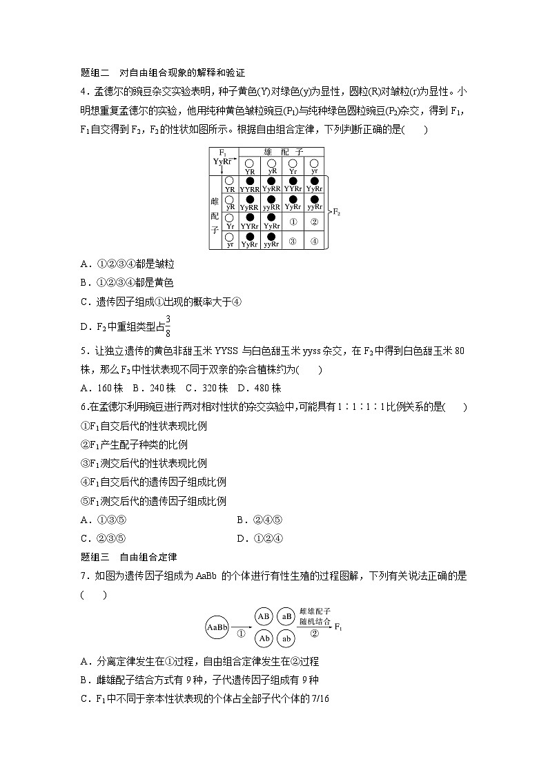 第1章　第2节　第1课时　两对相对性状的杂交实验过程、解释和验证（练习）第2页