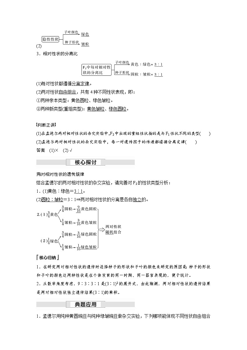 第1章　第2节　第1课时　两对相对性状的杂交实验过程、解释和验证（讲义）第2页
