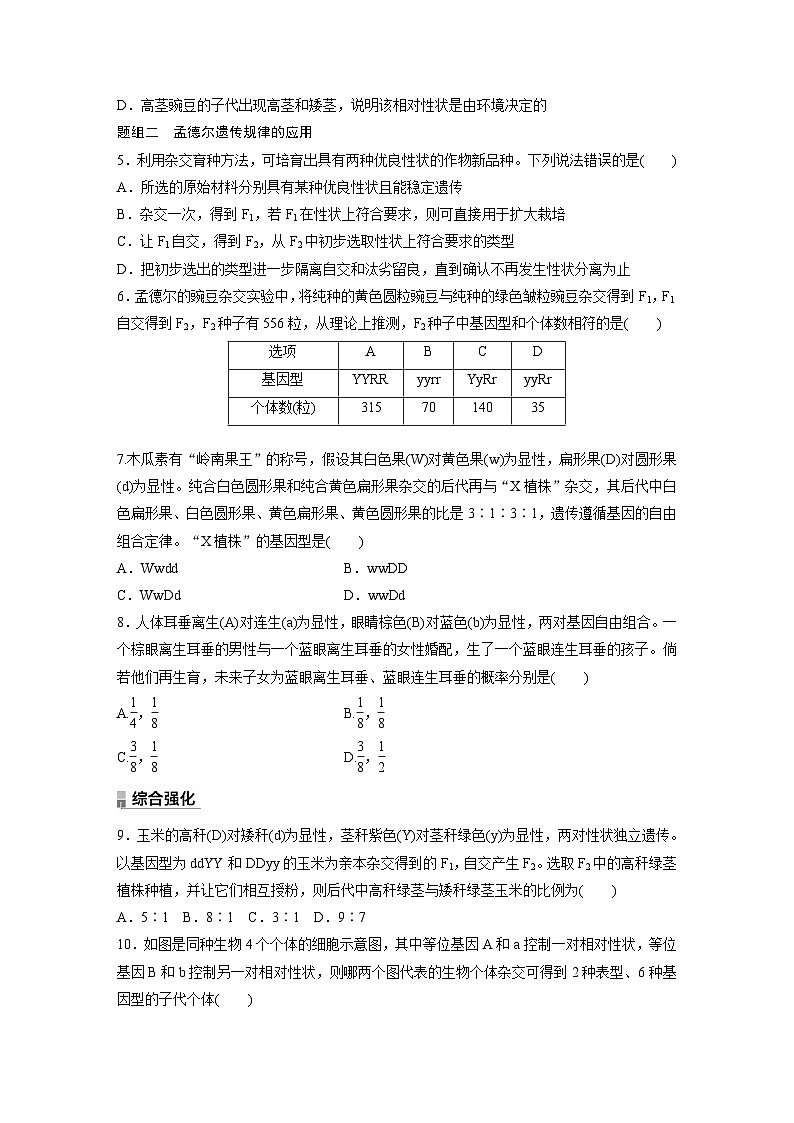 第1章　第2节　第2课时　孟德尔实验方法的启示、遗传规律的再发现和应用（练习）第2页