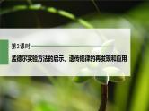 高中生物新教材同步必修第二册课件+讲义 第1章　第2节　第2课时　孟德尔实验方法的启示、遗传规律的再发现和应用