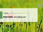 高中生物新教材同步必修第二册课件+讲义 第2章　本章知识网络