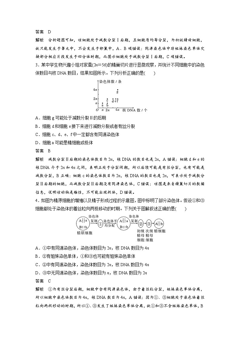 高中生物新教材同步必修第二册课件+讲义 第2章　重点突破练(二)02