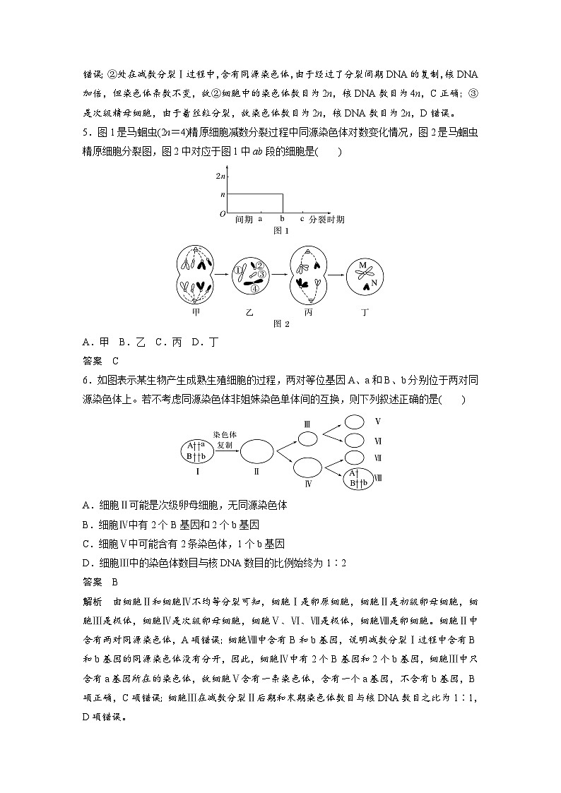 高中生物新教材同步必修第二册课件+讲义 第2章　重点突破练(二)03