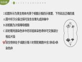 高中生物新教材同步必修第二册课件+讲义 第2章　重点突破练(二)