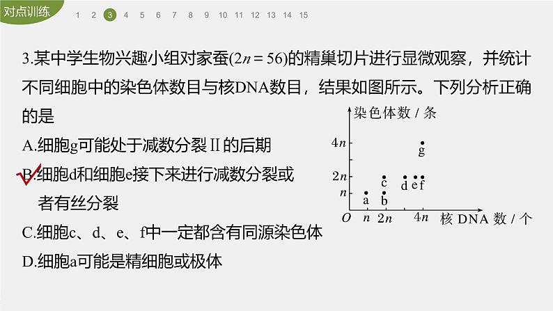 高中生物新教材同步必修第二册课件+讲义 第2章　重点突破练(二)07