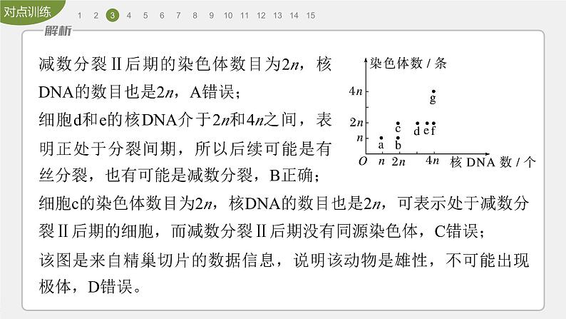 高中生物新教材同步必修第二册课件+讲义 第2章　重点突破练(二)08