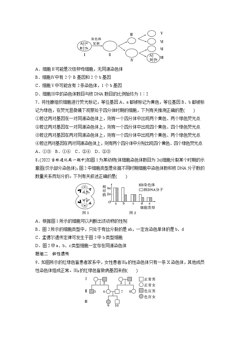 高中生物新教材同步必修第二册课件+讲义 第2章　重点突破练(二)03