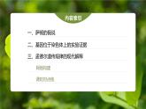 高中生物新教材同步必修第二册课件+讲义 第2章　第2节　基因在染色体上