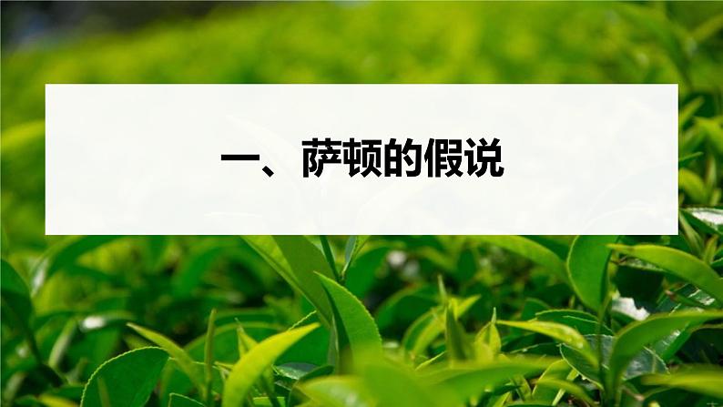 高中生物新教材同步必修第二册课件+讲义 第2章　第2节　基因在染色体上05