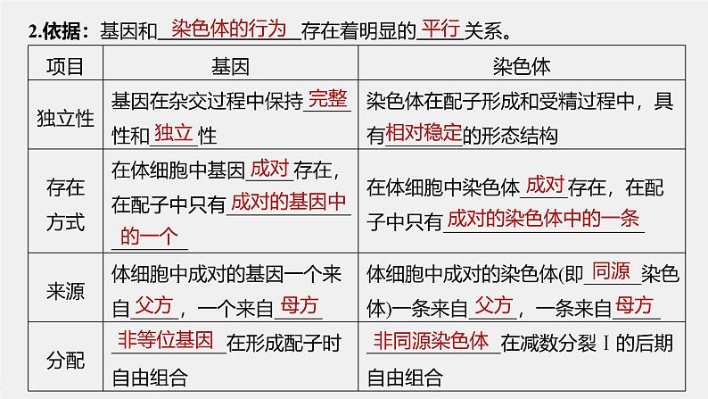 高中生物新教材同步必修第二册课件+讲义 第2章　第2节　基因在染色体上07