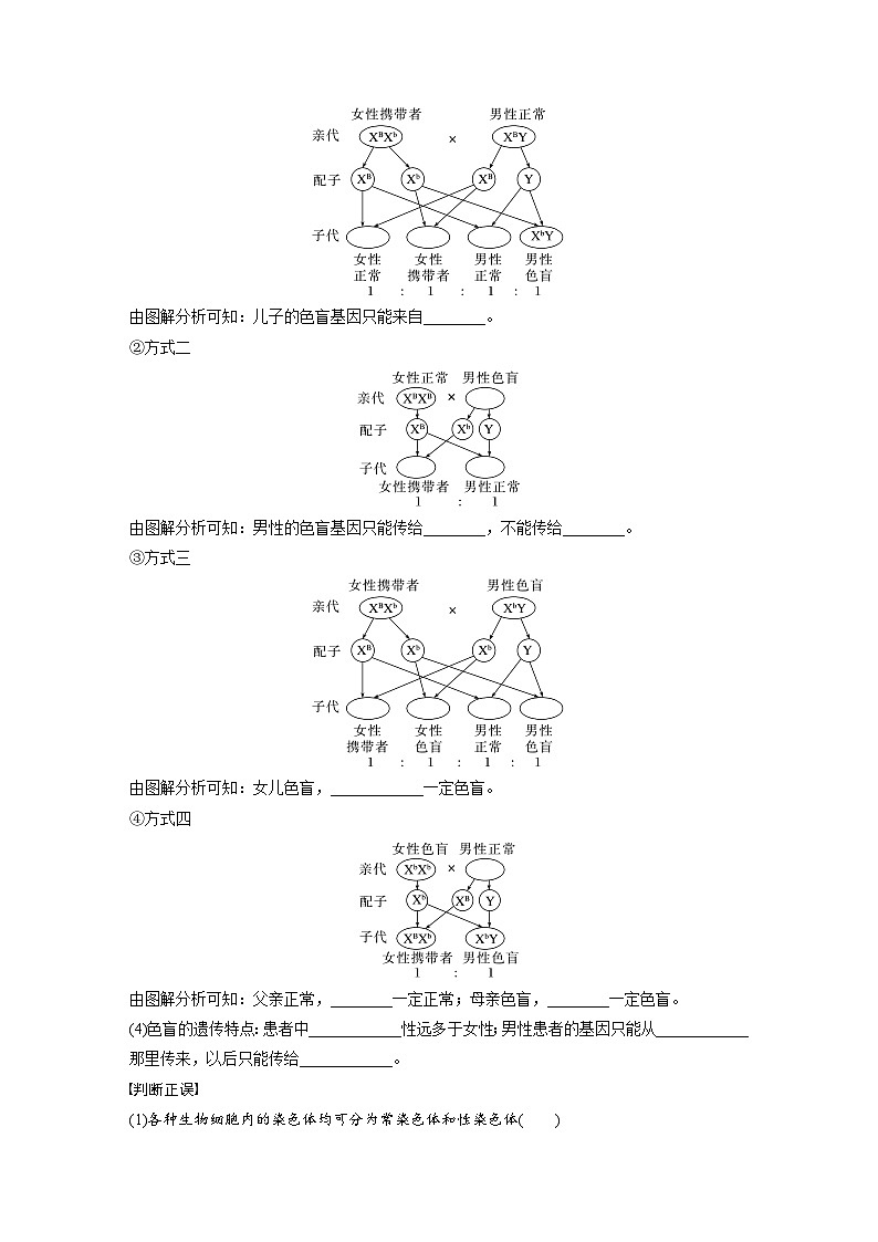 第2章　第3节　伴性遗传（学习笔记）第2页