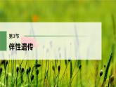高中生物新教材同步必修第二册课件+讲义 第2章　第3节　伴性遗传