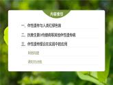 高中生物新教材同步必修第二册课件+讲义 第2章　第3节　伴性遗传